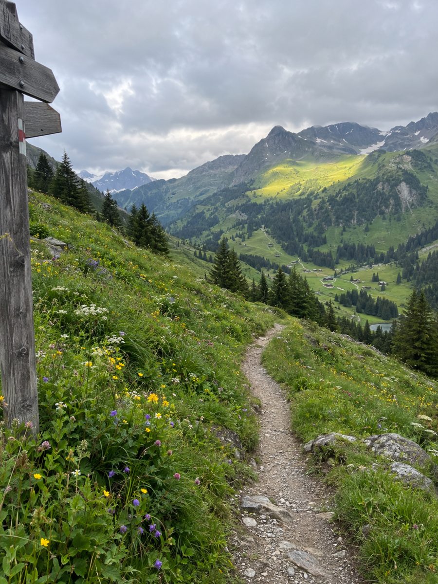 Blick über eine Voralpenlandschaft